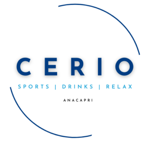 CERIO - LOGO 2