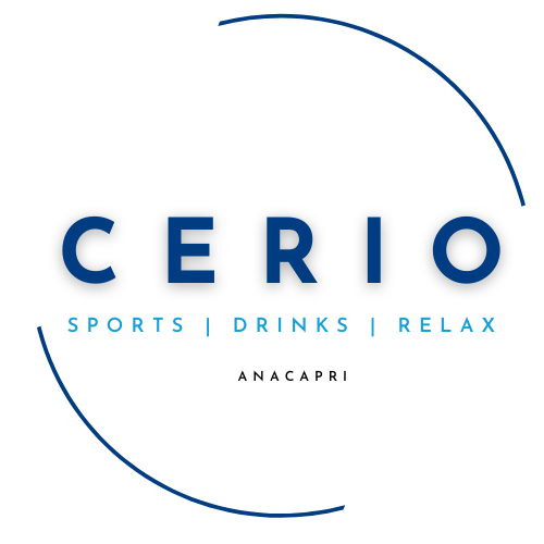 CERIO - LOGO 2